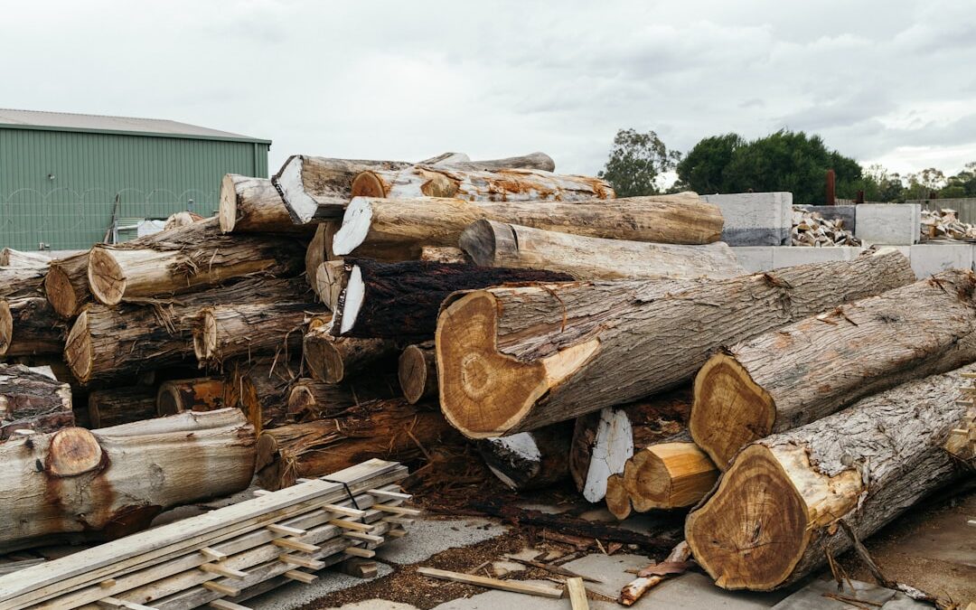 Top Australian Timber Supplies: Where to Buy