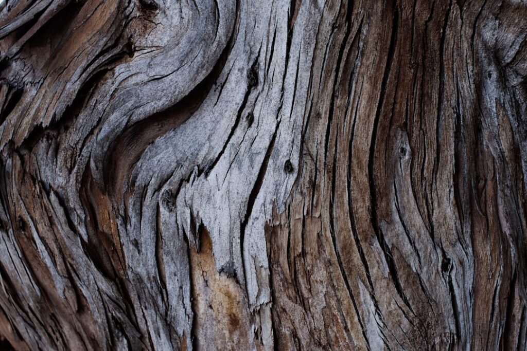 eucalyptus plywood