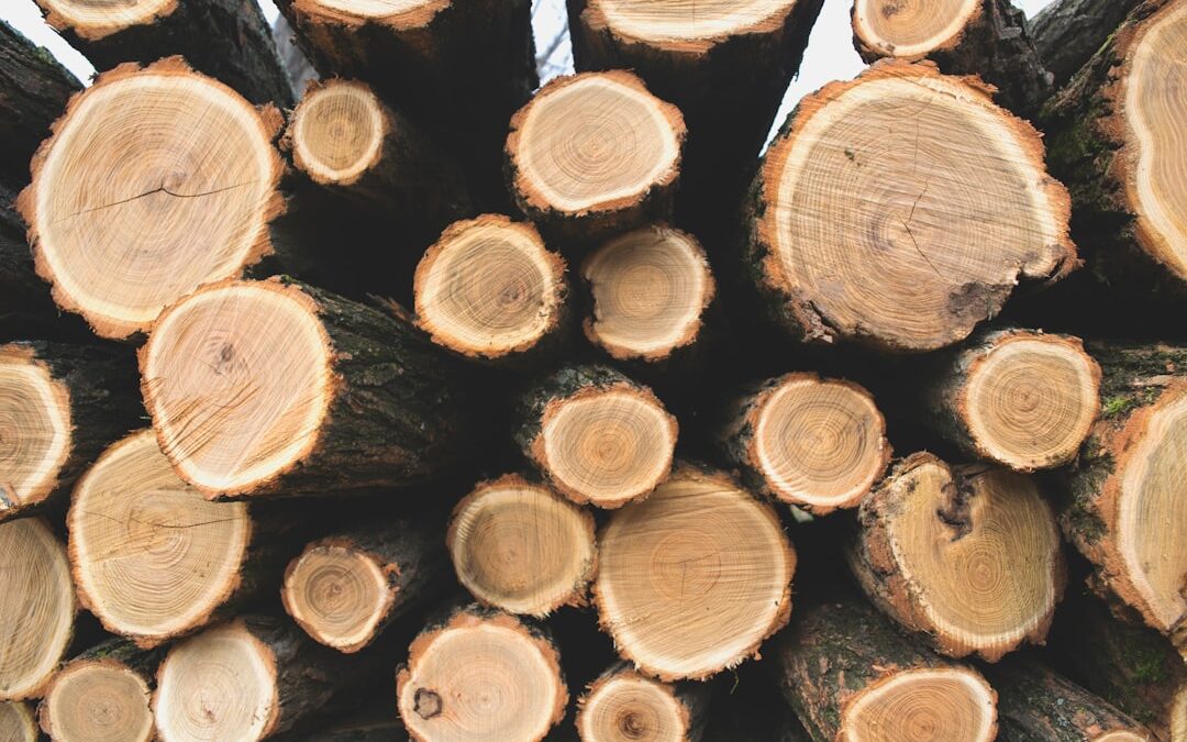The Rise and Fall of UK Wood Pellet Consumption: What You Need to Know