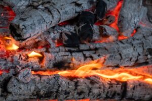 wood and pellet stove